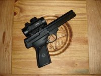 plinker.JPG