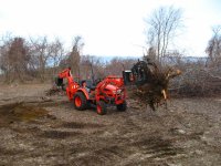 IMG_2896 small file stump capture.jpg