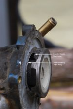 Impellor-2.jpg