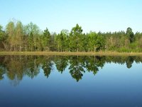 100_0528.jpg
