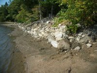 Landscape project 3.JPG