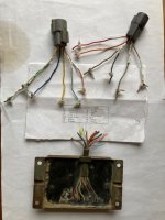 module connectors.jpg