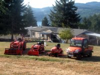 mini-OrangeFamily.JPG