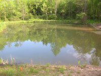 DSCN0557.JPG