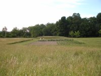 Lower garden3.JPG