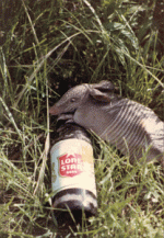 joe-bob_1656_14734.gif