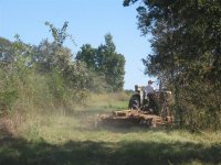 mower (3).JPG
