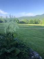 IMG_3904.jpeg