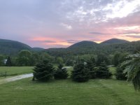 IMG_3906.jpeg