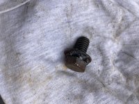 IMG_3728.jpeg