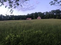 IMG_3912.jpeg