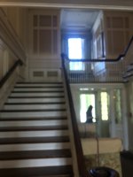 IMG_3924.jpeg