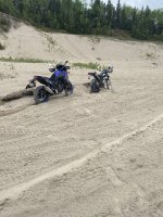 IMG_3391.jpeg
