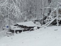 Roof Collapse.jpg