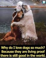 love dogs.jpg