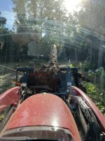 IMG_7847.jpeg