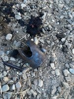 IMG_9240.jpeg