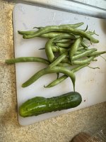 IMG_3135[1].JPG