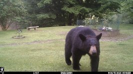 IMG_0896.JPG