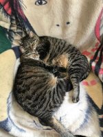 Napping.jpg