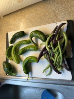 IMG_3187[1].JPG