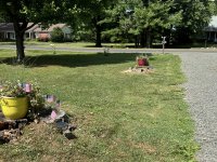 IMG_3193[1].JPG