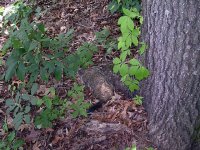 DSCN3507.jpg
