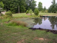 DSCN3531.jpg
