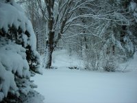 DSCN0141.JPG