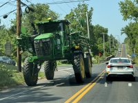 IMG_3236[1].JPG