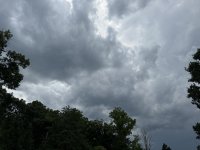 IMG_3242[1].JPG