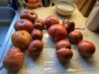 IMG_3254[1].JPG