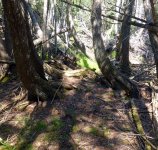 keweetrails00.jpg