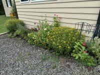 IMG_3372[1].JPG
