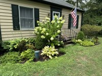 IMG_3379[1].JPG
