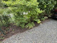 IMG_3380[1].JPG