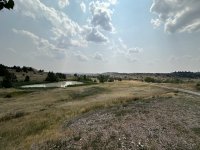 IMG_7960.jpeg