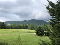 IMG_4041.jpeg