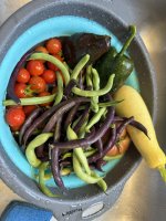 IMG_3405[1].JPG