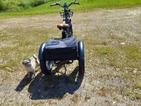 EMMO rear view.jpg