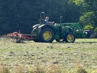 Hay.jpg
