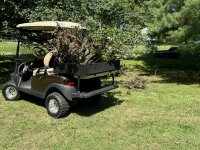 IMG_3441[1].JPG