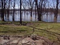 35-126339-river1.JPG