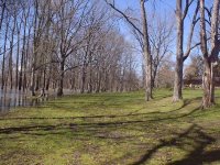 35-126344-river3.JPG