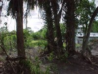 276567-land062-0403.jpg
