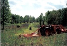 277395-05-04-03 Cutting meadow E.jpg