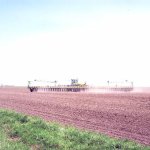 277741-Planter Pic_2.jpg