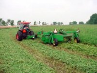 302260-cutting hay.jpg