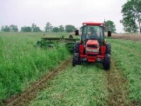 278804-cutting hay 2.jpg