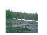 35-128070-land.JPG